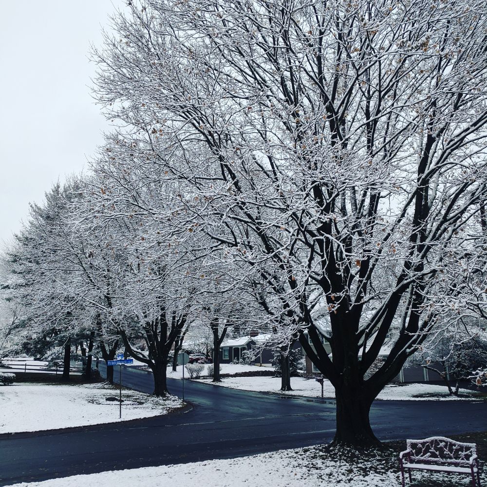 Snowfall Michael Spellacy